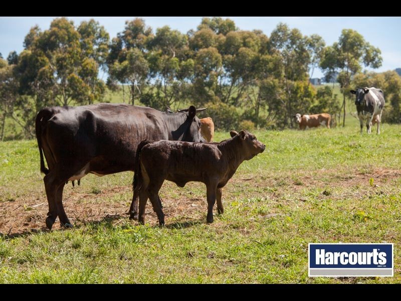 320 Wagners Road, Neerim South VIC 3831