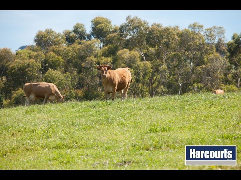 320 Wagners Road, Neerim South VIC 3831