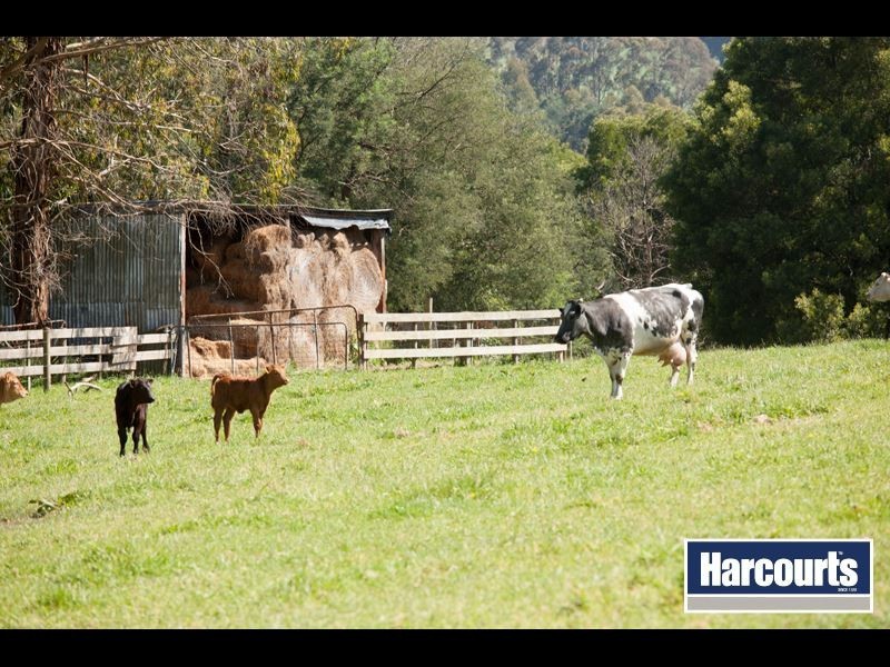 320 Wagners Road, Neerim South VIC 3831