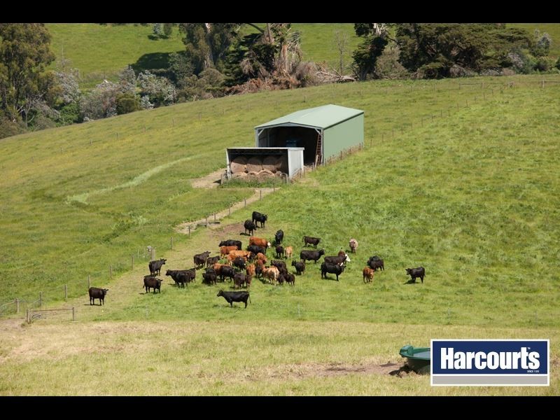 320 Wagners Road, Neerim South VIC 3831