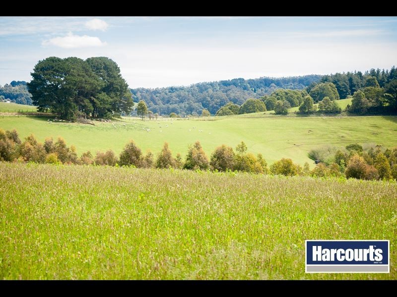 49 Childers Connection Road, Childers VIC 3824