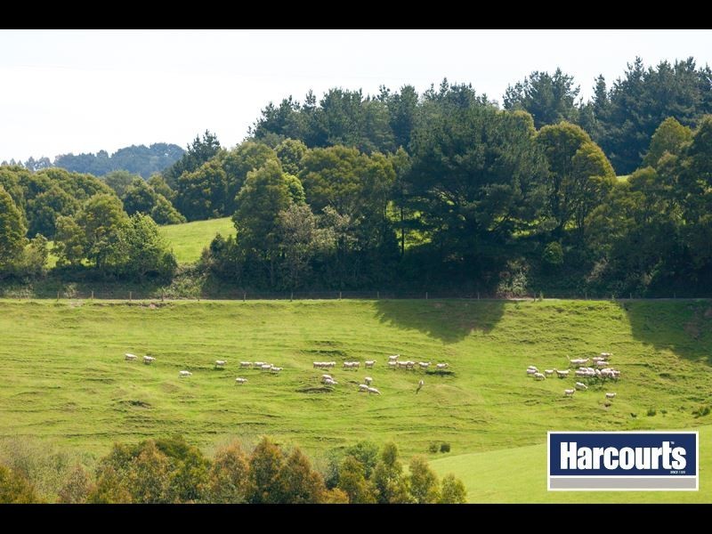 49 Childers Connection Road, Childers VIC 3824