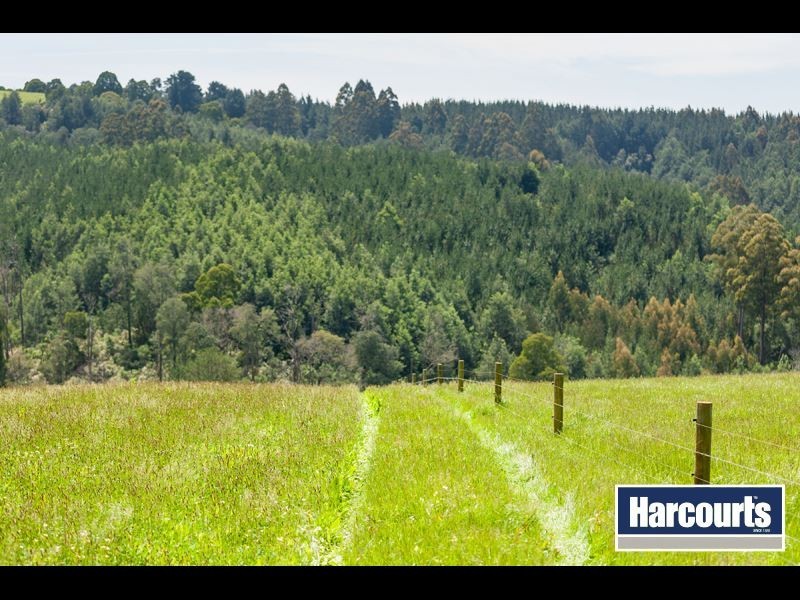 49 Childers Connection Road, Childers VIC 3824