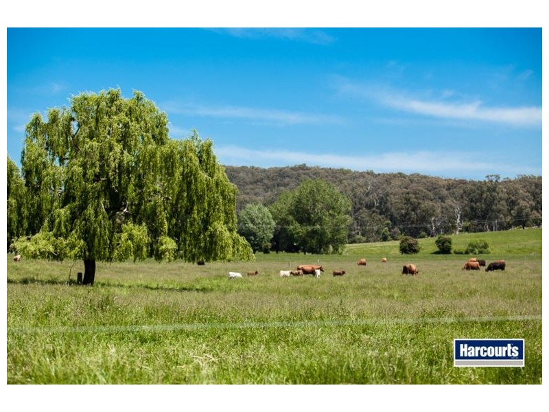 474 Maxfields Road, Callignee North VIC 3844