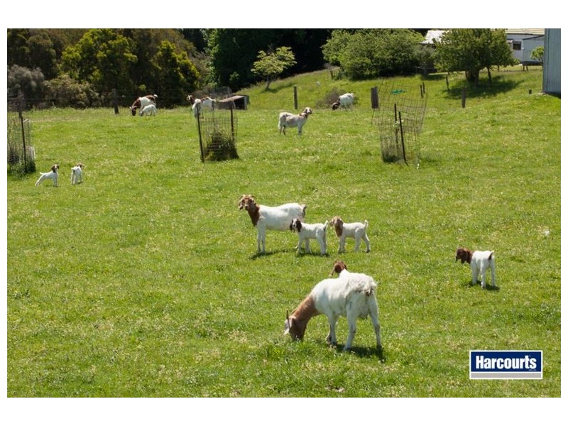 474 Maxfields Road, Callignee North VIC 3844