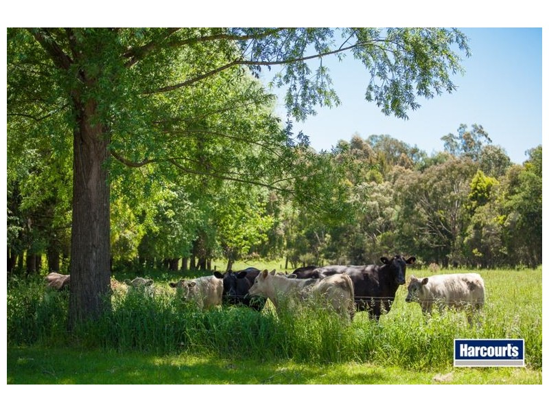 474 Maxfields Road, Callignee North VIC 3844