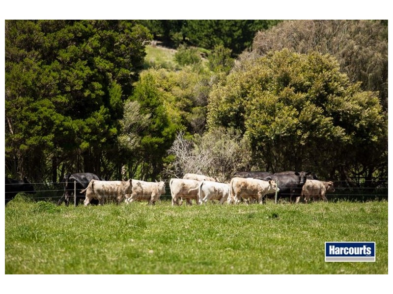 474 Maxfields Road, Callignee North VIC 3844