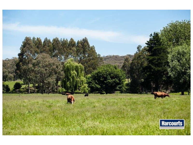 474 Maxfields Road, Callignee North VIC 3844