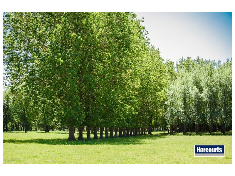 474 Maxfields Road, Callignee North VIC 3844