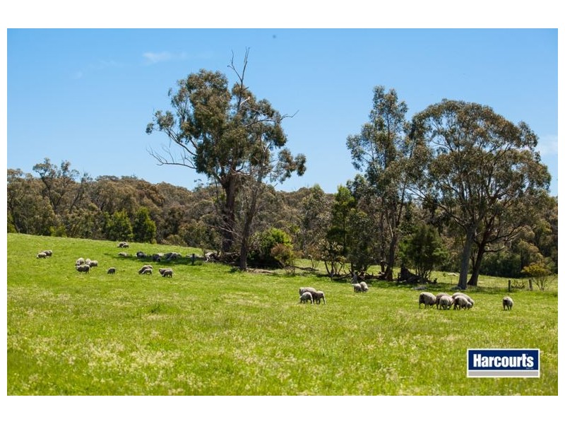 474 Maxfields Road, Callignee North VIC 3844