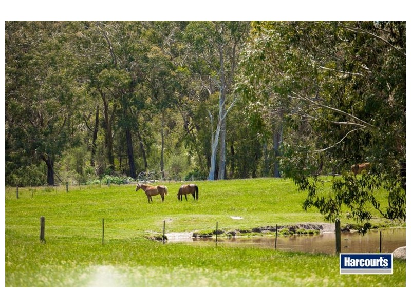 474 Maxfields Road, Callignee North VIC 3844