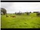 195 Sheffields Road, Neerim South VIC 3831