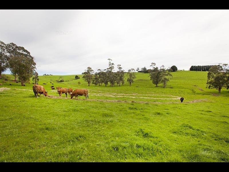 195 Sheffields Road, Neerim South VIC 3831