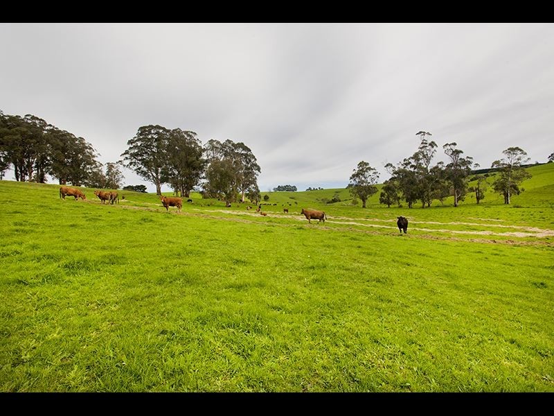 195 Sheffields Road, Neerim South VIC 3831