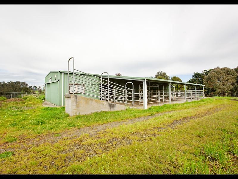 195 Sheffields Road, Neerim South VIC 3831