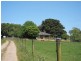 – Lardners Track, Lardner VIC 3821