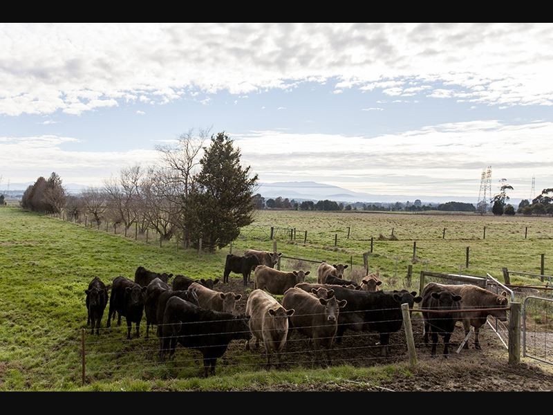 810 Waterloo Road, Trafalgar VIC 3824