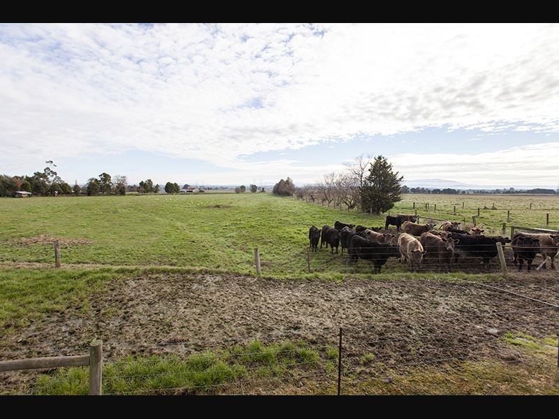 810 Waterloo Road, Trafalgar VIC 3824