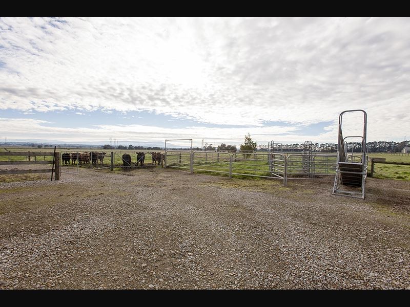 810 Waterloo Road, Trafalgar VIC 3824