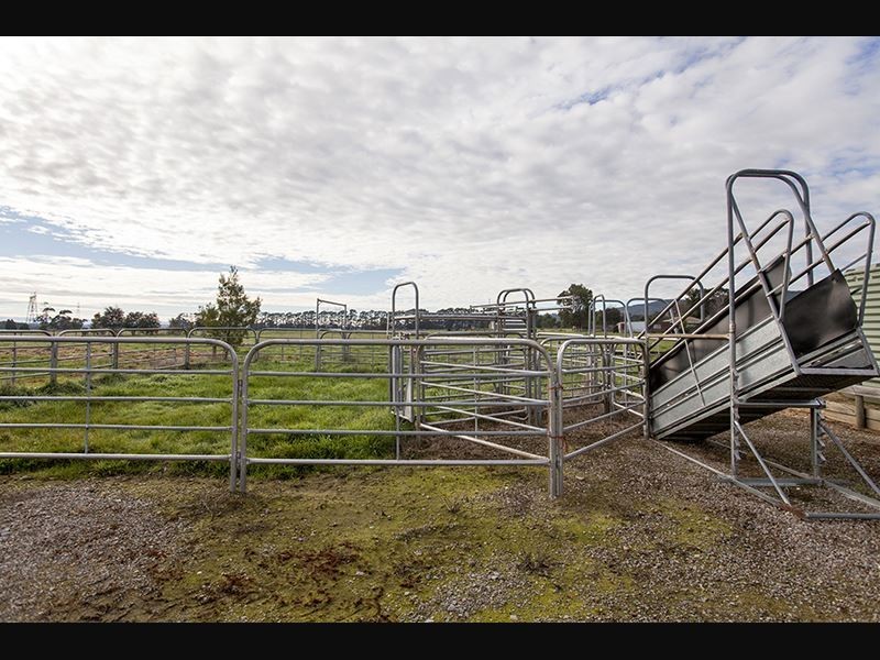 810 Waterloo Road, Trafalgar VIC 3824