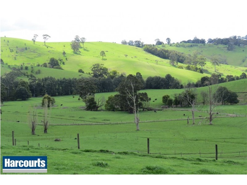 45 Porters Road, Mountain View VIC 3988