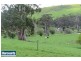 45 Porters Road, Mountain View VIC 3988