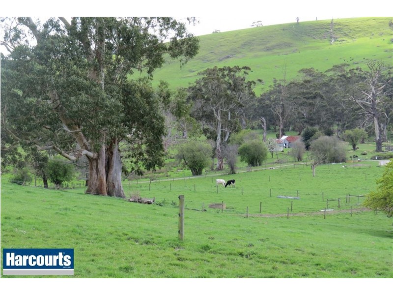45 Porters Road, Mountain View VIC 3988