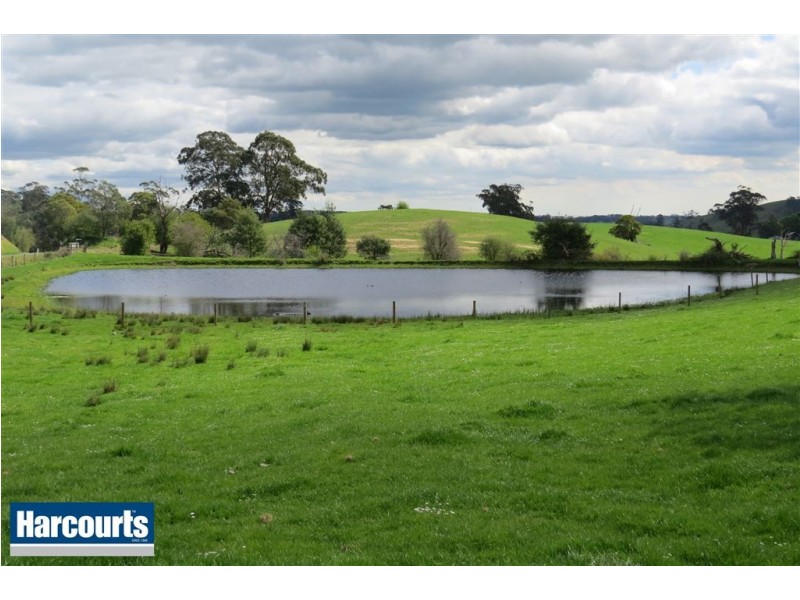 45 Porters Road, Mountain View VIC 3988