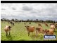 110 Chambers Road, Modella VIC 3816