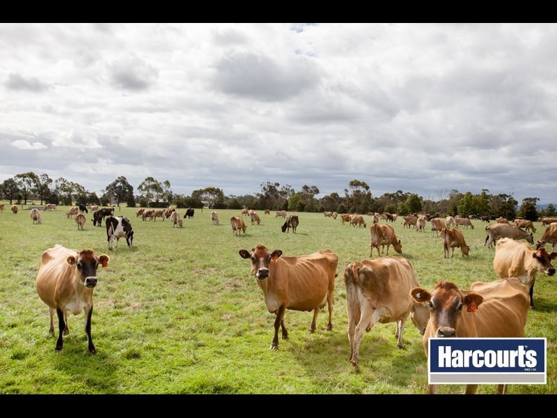 110 Chambers Road, Modella VIC 3816