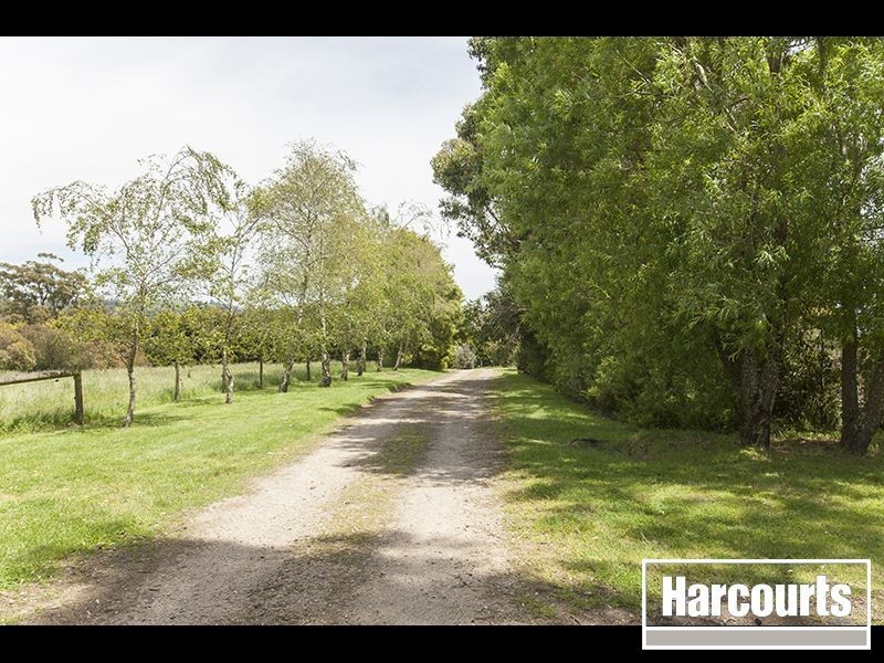 50 Old Thorpdale Road, Trafalgar South VIC 3824