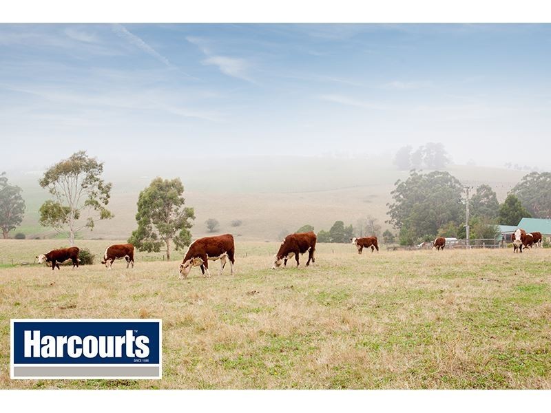 24 Boote Road, Drouin VIC 3818