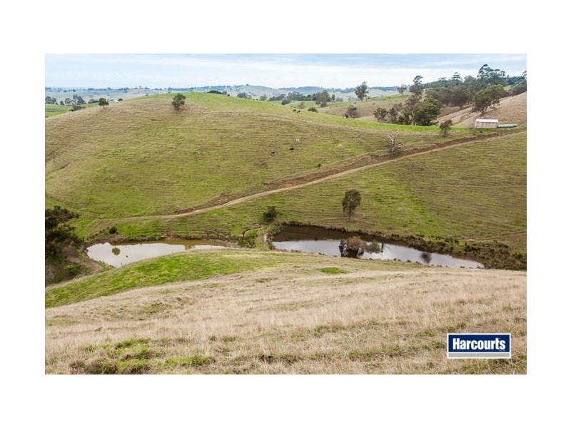 130 Curwen Road, Mountain View VIC 3988