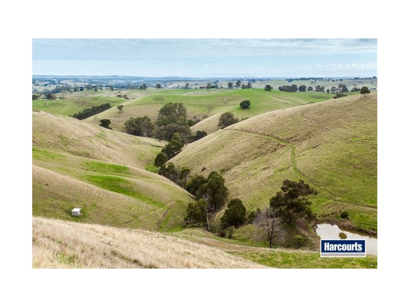 130 Curwen Road, Mountain View VIC 3988