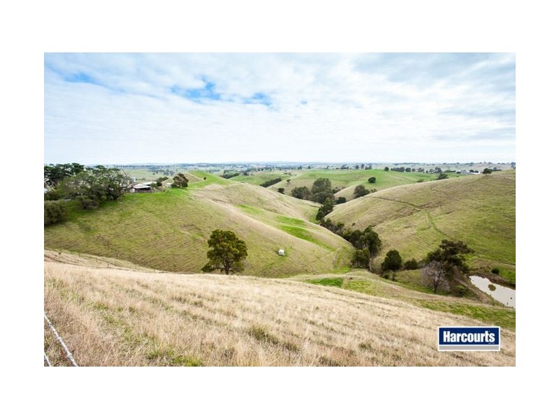 130 Curwen Road, Mountain View VIC 3988