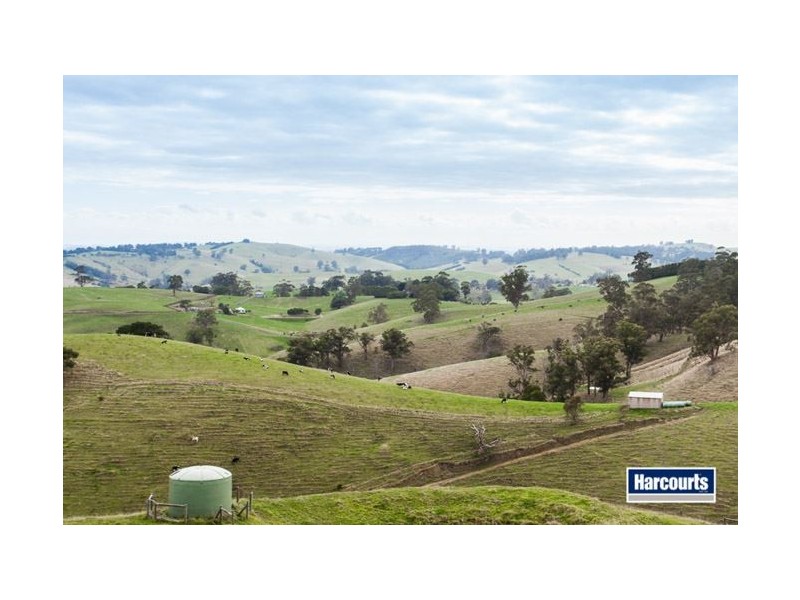 130 Curwen Road, Mountain View VIC 3988