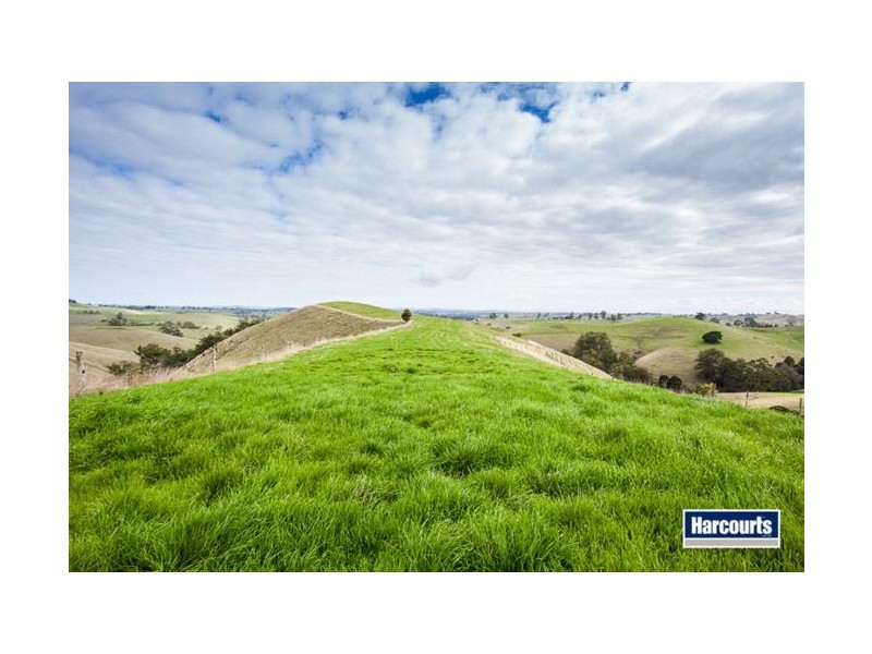 130 Curwen Road, Mountain View VIC 3988