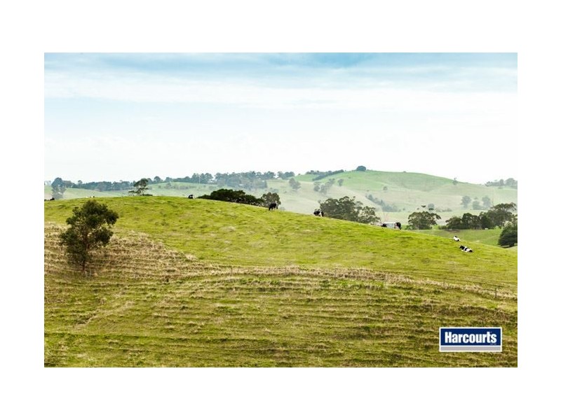 130 Curwen Road, Mountain View VIC 3988