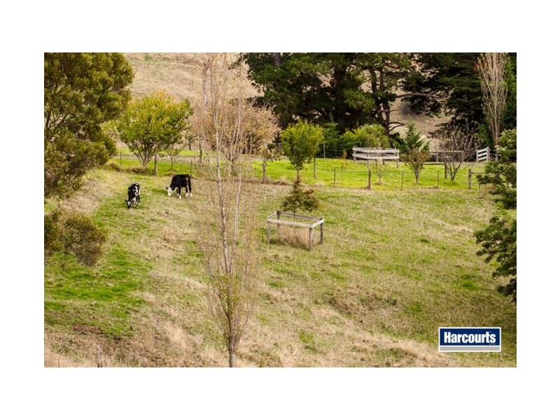 130 Curwen Road, Mountain View VIC 3988