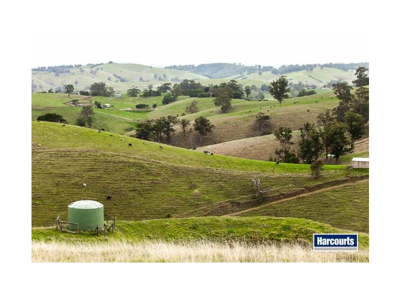 130 Curwen Road, Mountain View VIC 3988