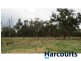 Lot 1 Corduroy Road, Longwarry VIC 3816
