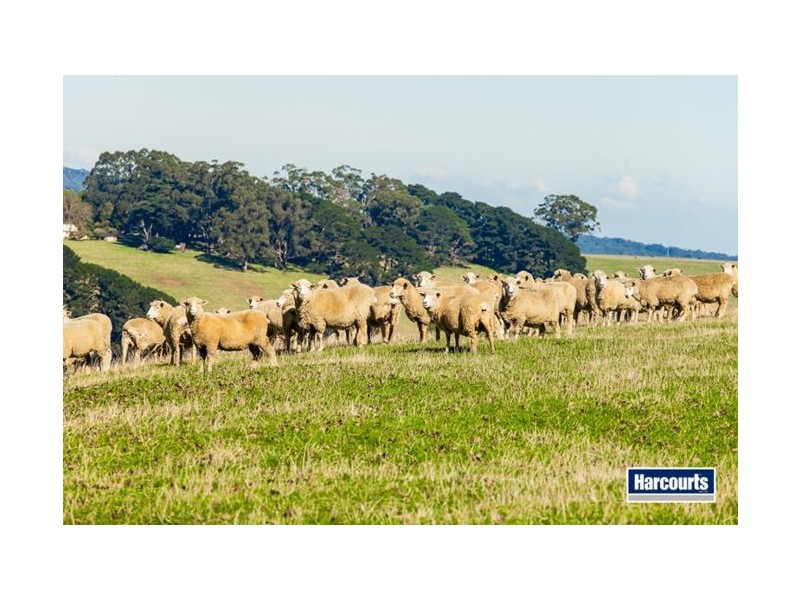 1 Dingley Dell Road, Thorpdale VIC 3835