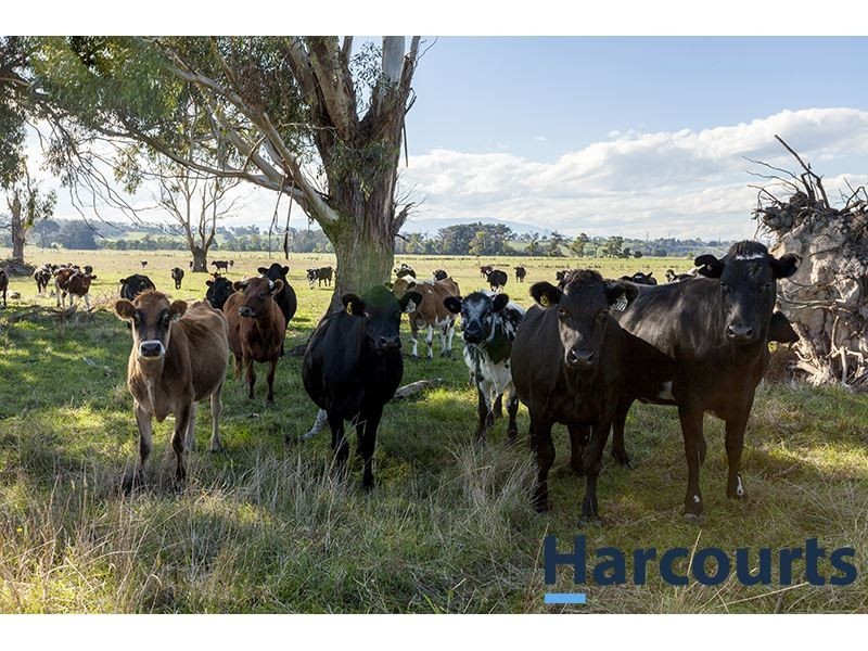 110-120 Waterloo Road, Moe VIC 3825
