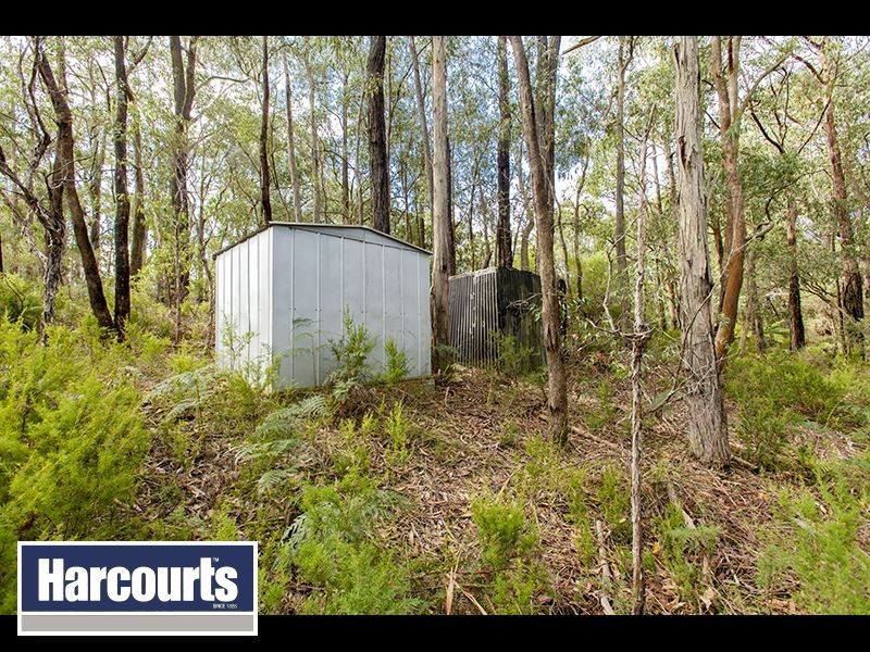 360 McDougals Road, Neerim South VIC 3831