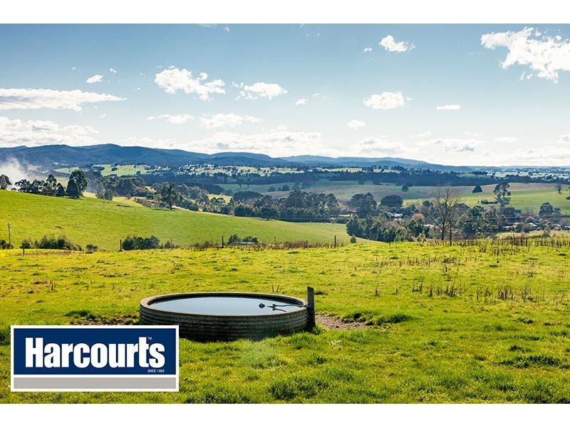 206 Cazalys Road, Brandy Creek VIC 3821