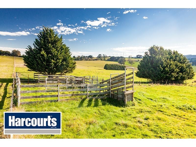 206 Cazalys Road, Brandy Creek VIC 3821