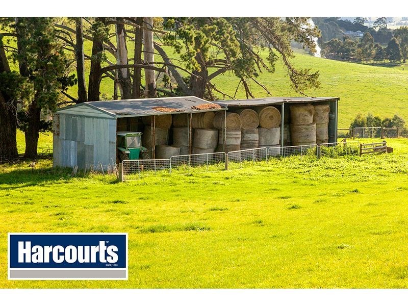 206 Cazalys Road, Brandy Creek VIC 3821