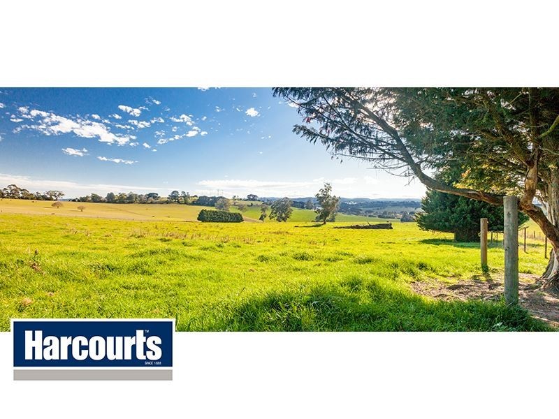 206 Cazalys Road, Brandy Creek VIC 3821