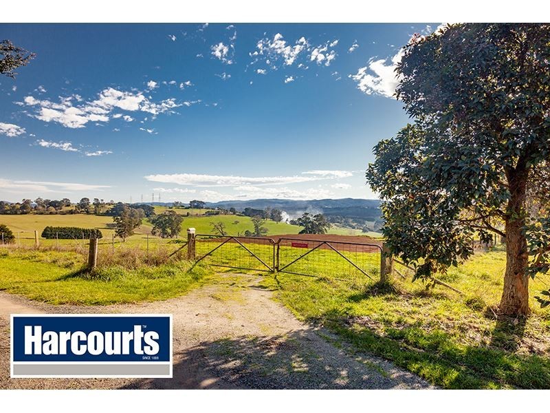 206 Cazalys Road, Brandy Creek VIC 3821