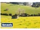 206 Cazalys Road, Brandy Creek VIC 3821